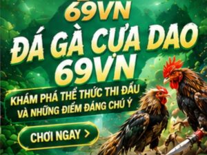 Đá Gà Cựa Dao 69VN