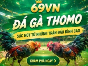 Đá Gà Thomo 69VN