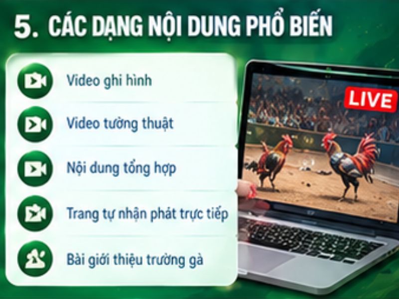 Đá gà Thomo trực tuyến và những điều cần phân biệt