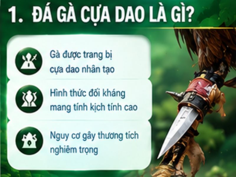 Đá gà cựa dao là gì?