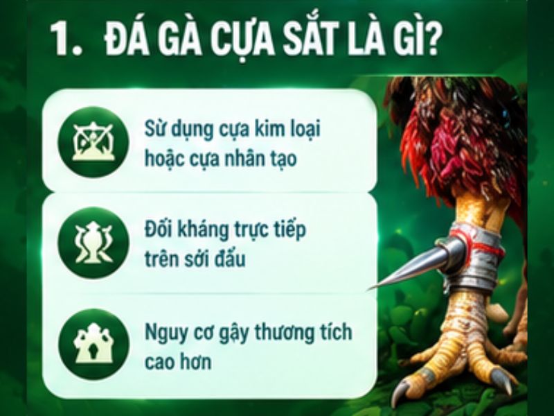 Đá gà cựa sắt là gì?
