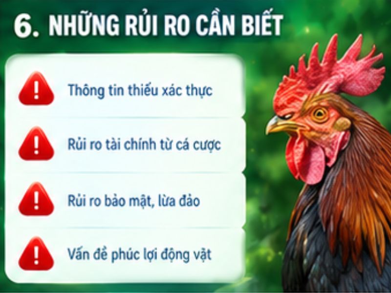 Những rủi ro cần biết khi tiếp cận nội dung đá gà